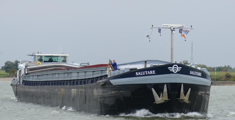 SALUTARE