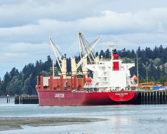 FRIDA BULKER