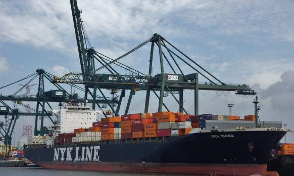 NYK DIANA